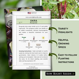 Sow Right Seeds - Burgundy Okra Seed for Planting - Non-GMO Heirloom Packet with Instructions to Plant a Home Vegetable Garden - Striking Red Pods on Top of Tall Stalks - Make Fried Okra (1)