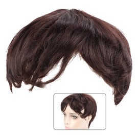 Men's Wigs, Short Dark Brown Wigs Brown Synthetic Men's Wigs for Men Finely Trimmed Straight Men's Wigs Breathable Mesh Men Hair Pieces Short Wigs Cosplay Costumes and