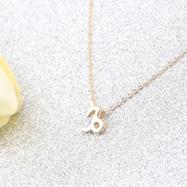 bobauna 12 Zodiac Sign Constellation Pendant Necklace Astrology Horoscope Jewelry Birthday Gift for Women Girls (Capricorn Necklace)
