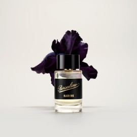 Black Iris Perfume for Men – Eau de Parfum – Long-Lasting Fresh Woody Amber Cologne with Bergamot, Iris & Amberwood – French Luxury Fragrance – Popular Gift for Men