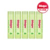 Blistex Sensitive Mint Melon 4.25g x 5 / 블리스텍스 센시티브 민트멜론 4.25g x 5개