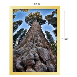 YYTRABAJO 9x12 Picture Frame Gold Photo Frames for Wall and Tabletop