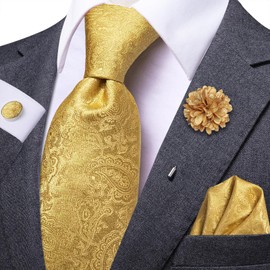 Dubulle Mens Tie and Lapel Pin Gold Paisley Striped Floral Necktie for Men Pocket Square Cufflinks Wedding Party