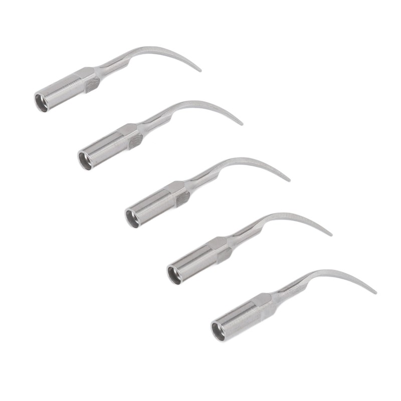 5pcs P1 Dental Clean Machine Tip Stainless Steel Heat Resistance