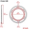Honda Blue O-Ring Drive Chain & Sprockets Kit for Honda