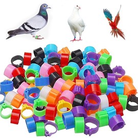 DHER Poultry Foot Rings Pigeons Foot Rings Chicken Leg Rings 100 Pieces 8 mm No Word Bayonet Detection Pigeon Ring 10 Colours Pigeon Foot Ring Small Poultry Foot Ring Marker Bird