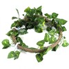 Reptile Climbing Branch Flexible Jungle 3.28ft Rattan 1Pc Vine(3.28ft Rattan+Scindapsus