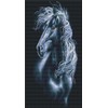 Abillyn Embroidery Cross Stitch Kits Black Horse Stamped with Printed