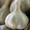 Garlic Bulb (7 Pack), Fresh California SOFTNECK Garlic Bulb for