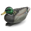 Volein Duck Decoy for Hunting, Mallard Floating Realistic Decoys, Plastic