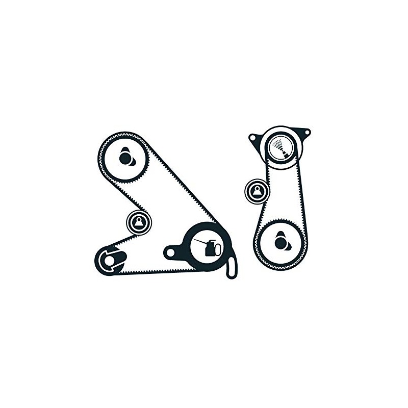 SKF VKMA 03050 Timing belt kit