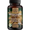 Ashwagandha KSM-66 Organic – Important: 12:1 Extract (= 3600 mg