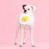 BARK Puppy Side Up Egg Dog Toy With Squeaker For