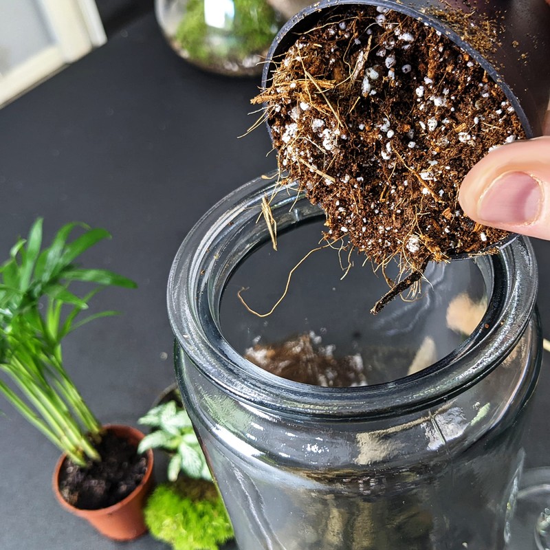 DIY Medium Open and Closed Terrarium Kit (Terracotta Pebbles)