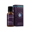 Mystic Moments | Frangipani PQ Absolute Precious Oil Dilution 10ml