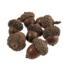 Trimits Natural Accessories, Acorns, 50 Pieces, 23x23x17mm B2231NAT