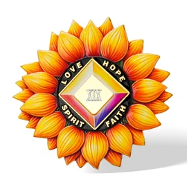 Sunflower Recovery Medallion Coin Inspirational Sobriety Chip with Serenity Message Love, Hope, Spirit & Faith Token Just for Today Gifts for Recovery and Strength (19 Years)