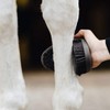 Animalon CareFlex Kardätsche | Flexible & Ergonomische Pferde-Bürste mit Klettverschluss