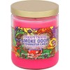 Smoke Odor Exterminator 13oz Jar Candle, Trippy Hippie