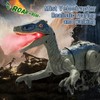 Remote Control Velociraptor, Dinosaur Toy for Kids 4-12