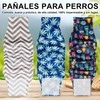 AOMDEXS Pañales Perro Macho, 3 PCS Pañales Perro Lavables, Super