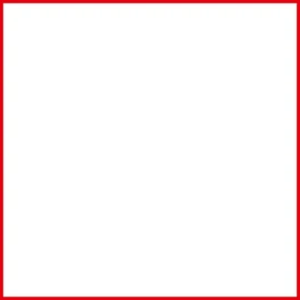Taka Seal Sheet Red Frame Thick No. 8 26-2108