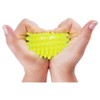 Sport-Tec Hedgehog Ball Massage Ball Reflex Zones Massage Self Massage