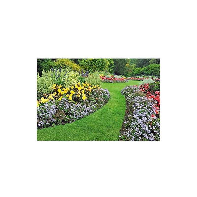 Straight Garden Edging - Various Lengths and Colours - 15cm