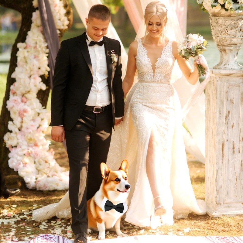 FloralGrace 2 Pieces Adjustable Cat and Dog Bow Tie, Adjustable