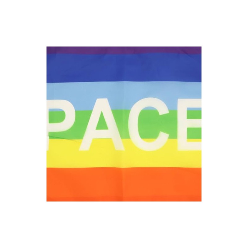 AZ FLAG RAINBOW PACE LETTER FLAG 18'' x 12'' cords