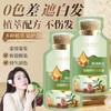 【30ml新包装】泡泡染 染發劑 植物萃取染发 不沾头皮不沾脸可盖白发 Plant ingredients DIY hair coloring shampoo
