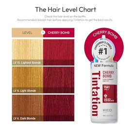 Kiss Tintation Semi-Permanent Hair Color 5 Ounce, T740 Rose Gold