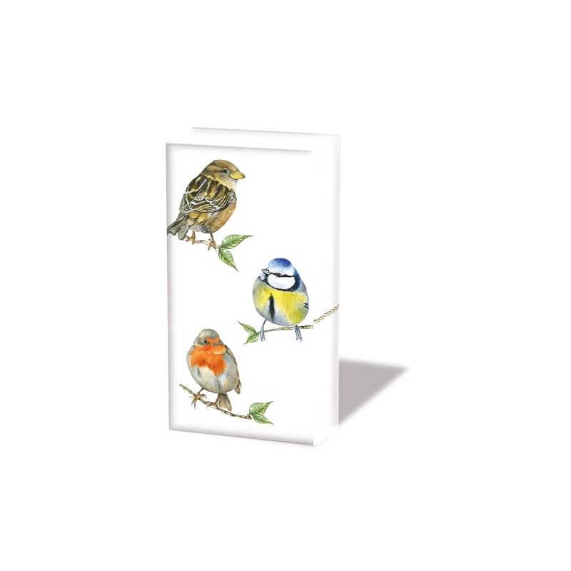 Birds Paper Handkerchiefs