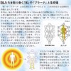 3d kabbalah padma pendant