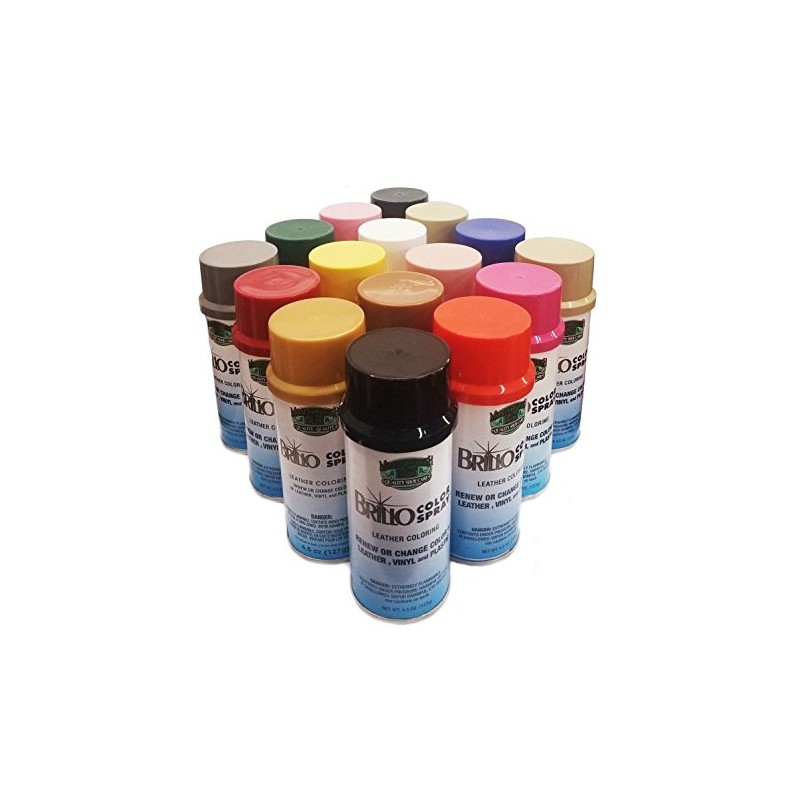 Moneysworth & Best Brillo Color Spray (Dark Bone #048)