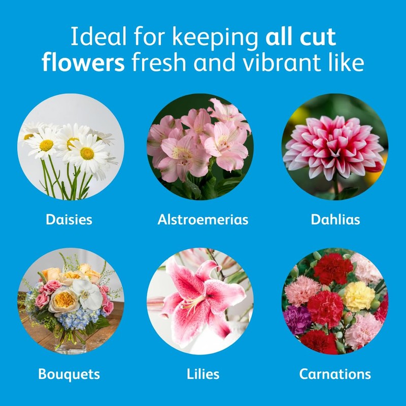 Chrysal Flower Boost – Clear Flower Food Packets for Flower