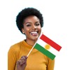 25 Packs Small Kurdistan Flags on Handheld Stick，Miniature Kurdish Flag