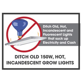 Miracle LED 602629 32-Socket 48ft Corded System Kit with Almost Free Energy Red & Blue Spectrum Wide-Angle Grow Lights Replacing Four 1000W High Pressure Sodium/Halide Bulbs (8-Pack - 8 Strings, 32 Bu