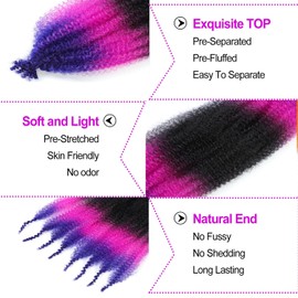 Afro Twist Hair 24Inch 3Packs Springy Afro Twist Hair Crochet Braiding Hair (24 Inch (Pack of 3), 1b/purple red/royal blue) …