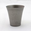 Asahi Kasumi Titanium Cold Sake Cup, 1 Piece, 2.2 fl
