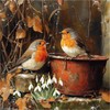 AIRDEA Robin Birds Diamond Art Kits Adults, 5D DIY Garden