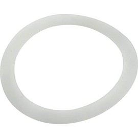 Pentair Adapter Washer, PacFab