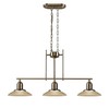 Chloe Lighting CH28001BN32-IL3 Neleh Transitional 3-Light Island Fixture, 32", Brushed