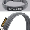 Excellent Elite Spanker Dog Collar for Small Dogs, Nylon, Super