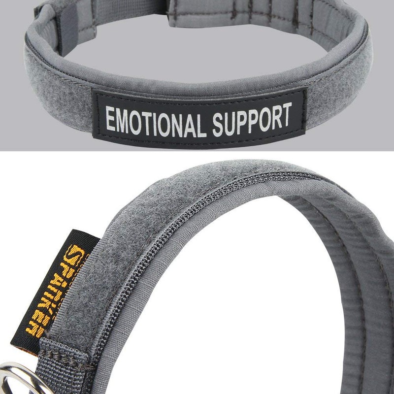 Excellent Elite Spanker Dog Collar for Small Dogs, Nylon, Super