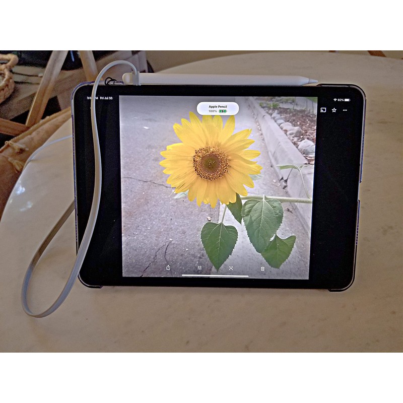 ZoopLoop Grey Silicone Scratchproof 20.75in Tether for Digital Electronic Styluses