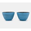 Zen Minded Traditional Japanese Cast Iron Tea & Coffee Cup