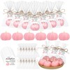 Demissle 20 Sets Pumpkin Baby Shower Favors 20 Mini Pumpkin