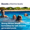 HTH 52047 Swimming Pool Care Salt Shock, Stabilized Chlorinator, 1
