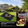 4 Pack 10" x 16" Large Snake Glue Traps with